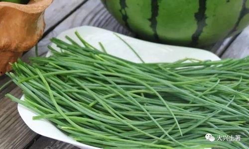 莱芜吃瓜莱芜网红,吃瓜群众眼中的莱芜风采