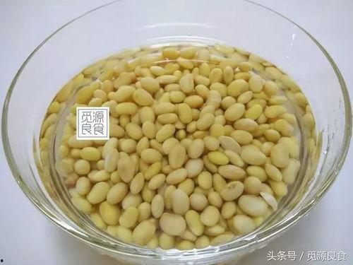 网红吃小黄豆瓜,趣味横生引网友热议