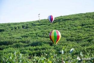 彩虹网红吃瓜,揭秘娱乐圈幕后真相