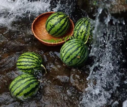 吃瓜网密码多少,探寻网络世界的神秘面纱