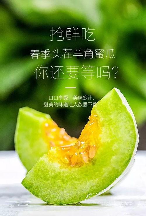 哪里吃网红的瓜,跟随“哪里吃”探寻热门八卦盛宴